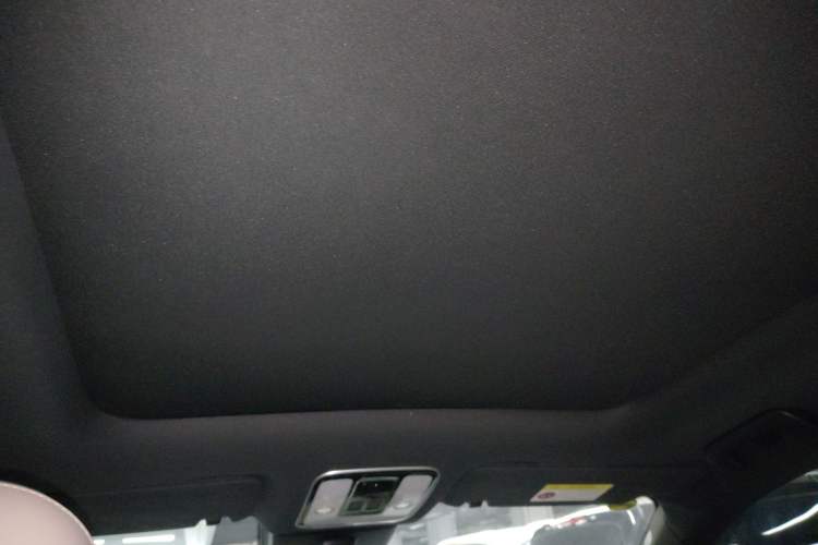 Used Li Auto ONE 2021 Extended-Range 6-Seater Version Headliner