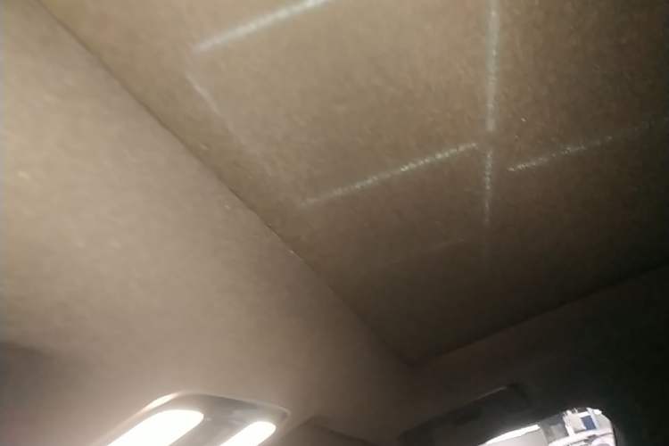 Used Li Auto ONE 2021 Extended-Range 6-Seater Version Headliner