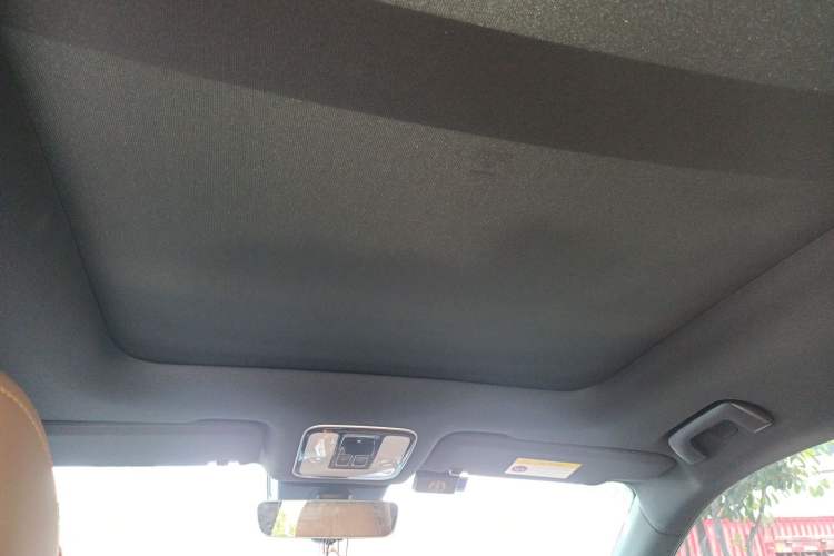 Used Li Auto ONE 2021 Extended-Range 6-Seater Version Headliner