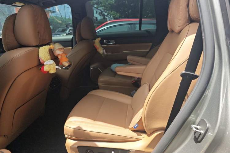Used Li Auto ONE 2021 Extended-Range 6-Seater Version Left Rear Seat