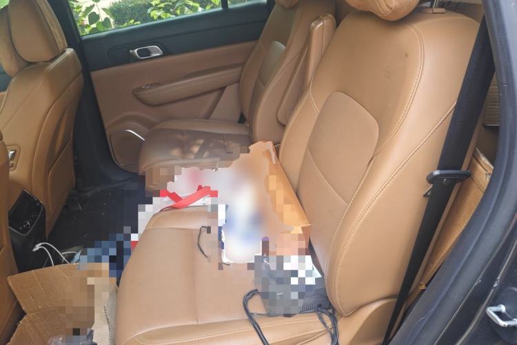 Used Li Auto ONE 2021 Extended-Range 6-Seater Version Left Rear Seat