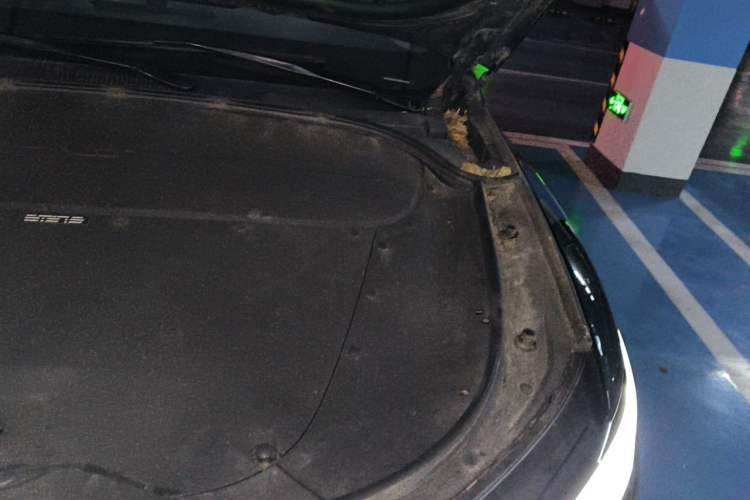 Used Li Auto ONE 2021 Extended-Range 6-Seater Version Engine Bay Left
