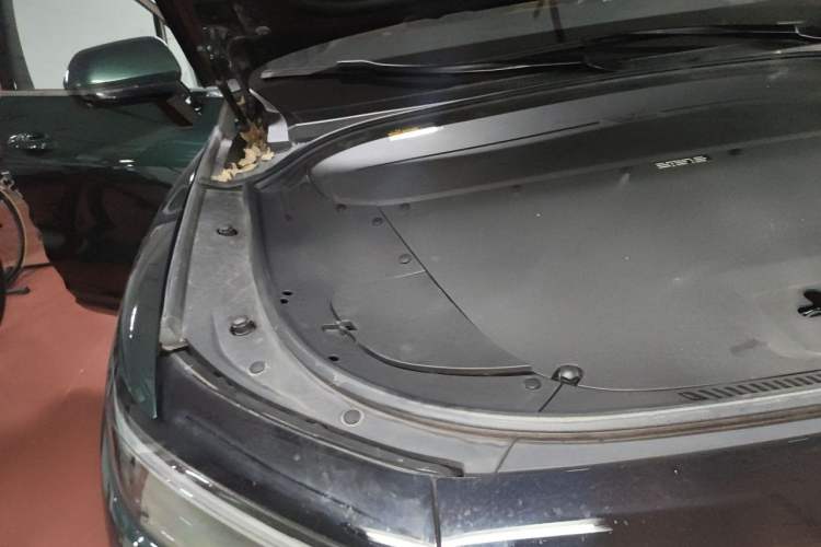 Used Li Auto ONE 2021 Extended-Range 6-Seater Version Engine Bay Right