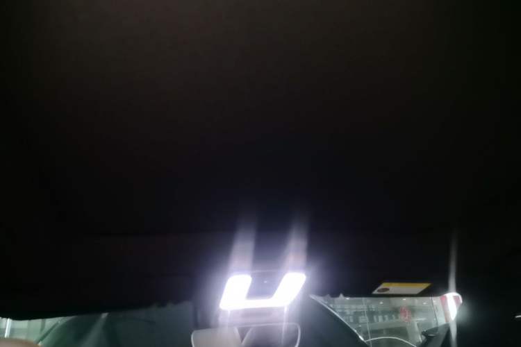 Used Li Auto ONE 2021 Extended-Range 6-Seater Version Headliner