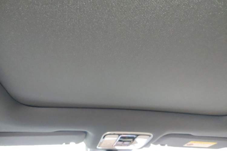 Used Li Auto ONE 2021 Extended-Range 6-Seater Version Headliner
