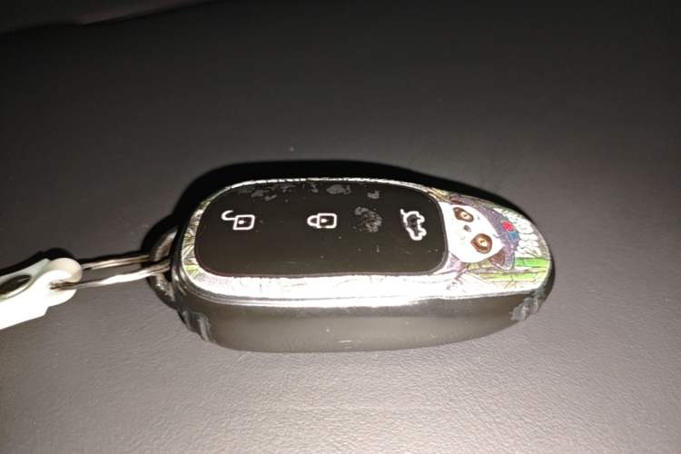 Used Li Auto ONE 2021 Extended-Range 6-Seater Version Vehicle Key