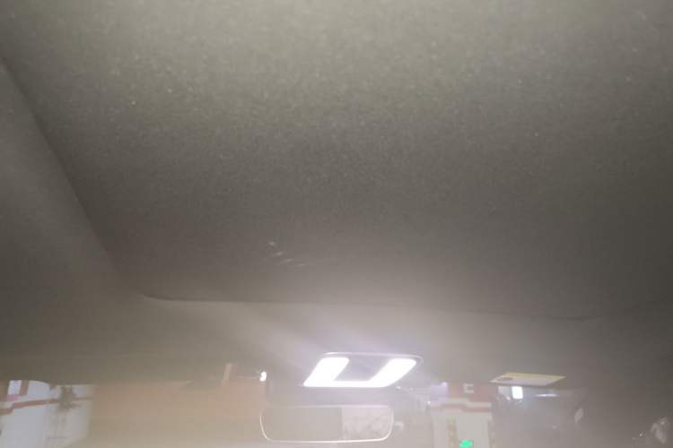 Used Li Auto ONE 2021 Extended-Range 6-Seater Version Headliner