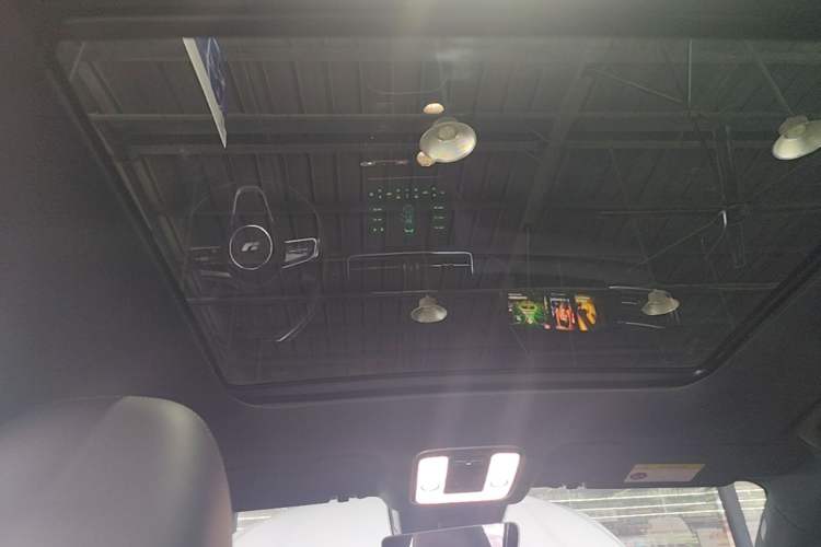Used Li Auto ONE 2021 Extended-Range 6-Seater Version Headliner