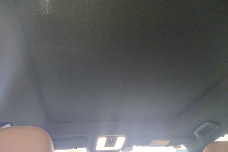 Used Li Auto ONE 2021 Extended-Range 6-Seater Version Headliner