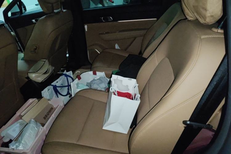 Used Li Auto ONE 2021 Extended-Range 6-Seater Version Left Rear Seat