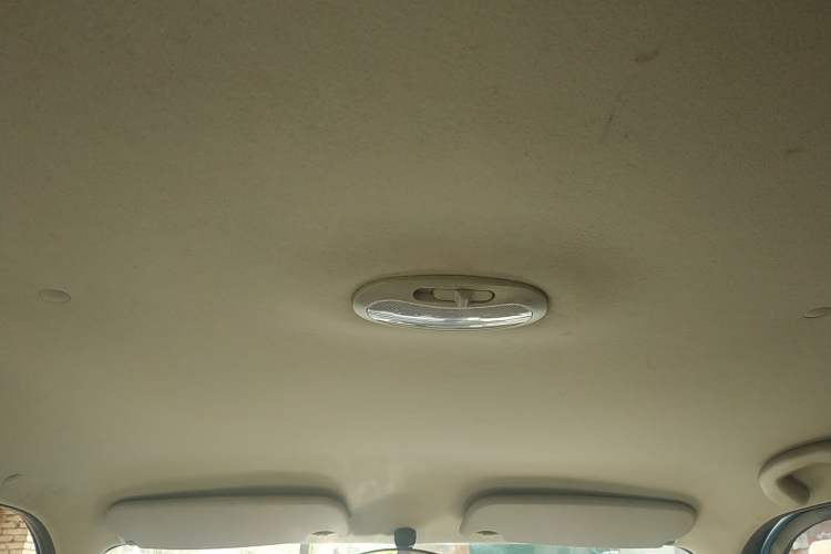 Used Lifan Auto 320 2012 Champion Edition 1.3L Manual CoolDrive Model Headliner
