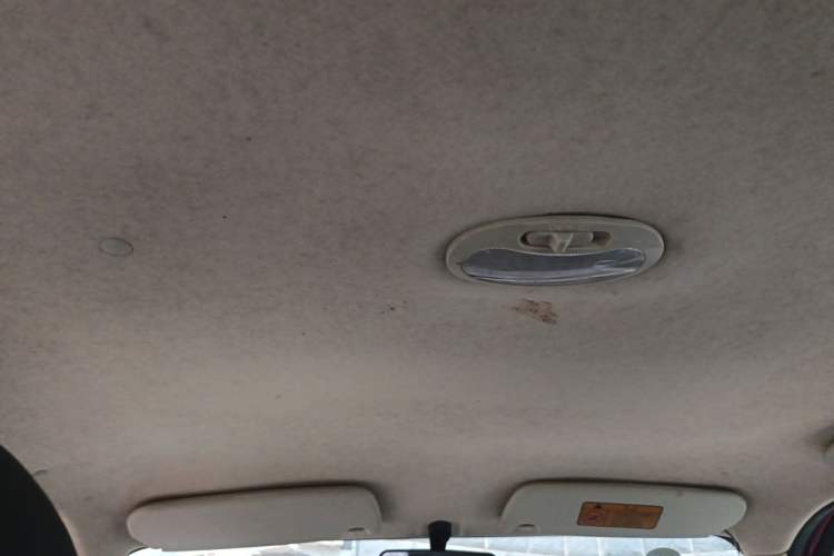 Used Lifan Auto 330 2014 1.3L Manual Standard Edition Headliner