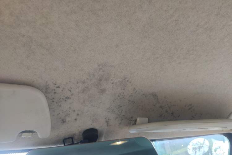 Used Lifan Auto 330 2014 1.3L Manual Comfort Version Headliner