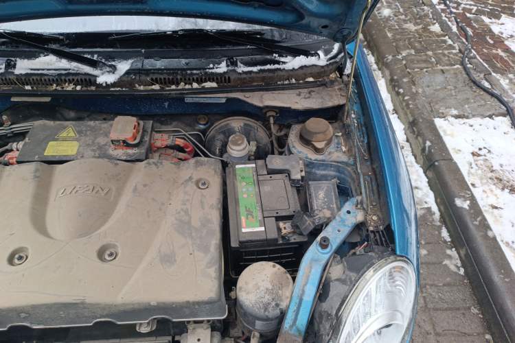 Used Lifan Auto 330EV 2017 C-Style Enjoyment Edition Engine Bay Left