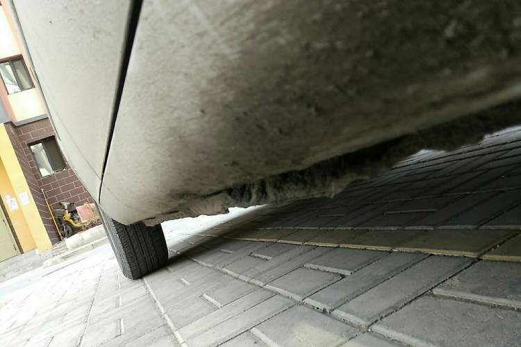 Used Lifan Auto 520 2011 520 Navigation Edition 1.3L Comfort Version Right Side Sill