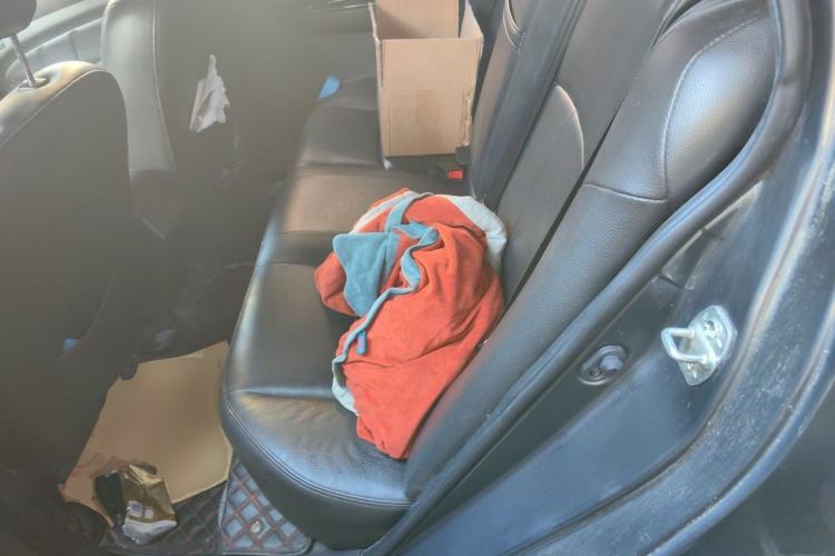 Used Lifan Auto 650EV 2018 Luxury Model Left Rear Seat