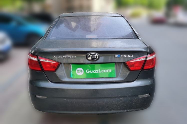 Used Lifan Auto 650EV 2018 Luxury Model Rear