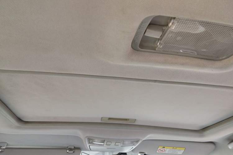 Used Lifan Auto 650EV 2018 Luxury Model Headliner