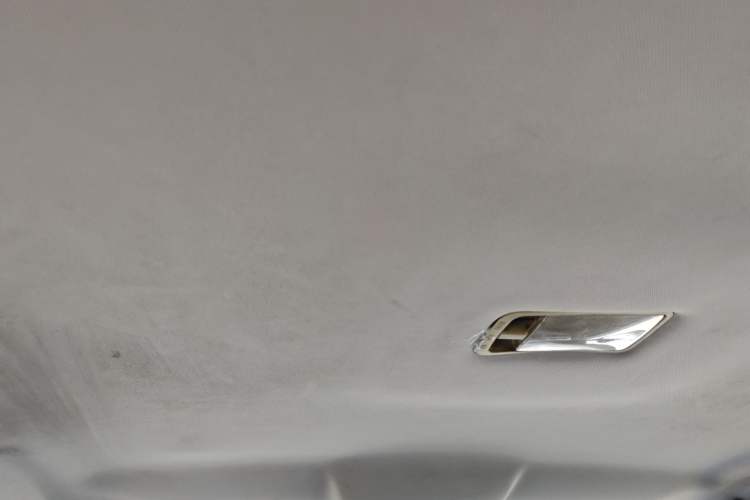 Used Lifan Auto 650EV 2018 Comfort Model Headliner