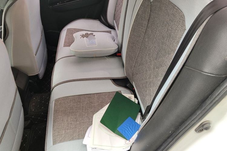 Used Lifan Auto 650EV 2018 Luxury Model Left Rear Seat