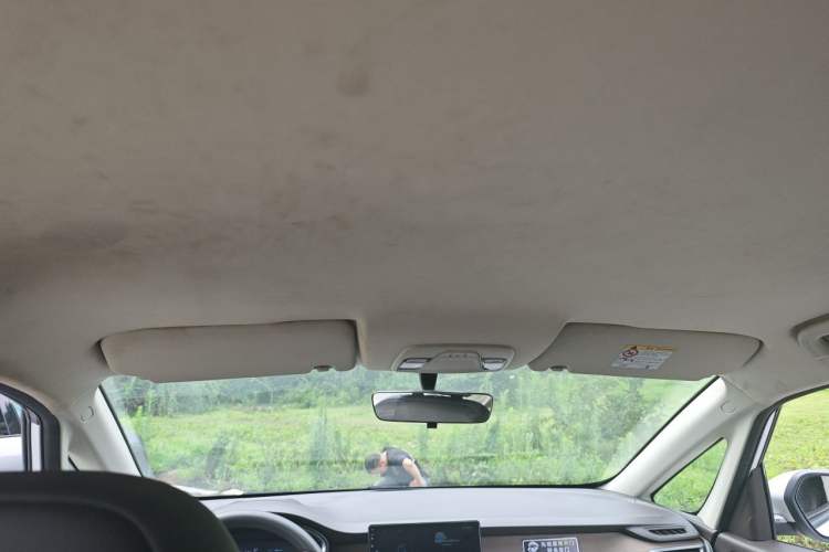 Used Lifan Auto Maple 80V 2021 U-Drive Edition Headliner