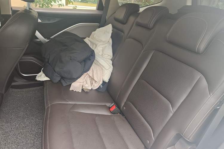 Used Lifan Auto Maple 80V 2021 Easy-Drive Version Left Rear Seat