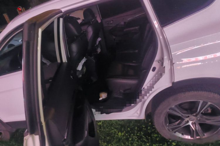 Used Lifan Auto X80 2017 2.0T Automatic Comfort Version Left Rear Seat
