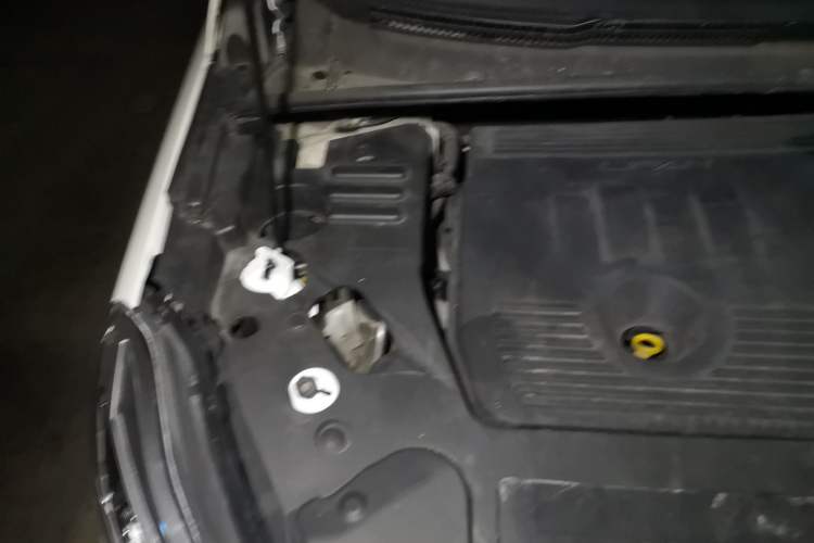 Used Lifan Auto Xuanlang 2017 2.0L CVT Comfort Edition Engine Bay Right