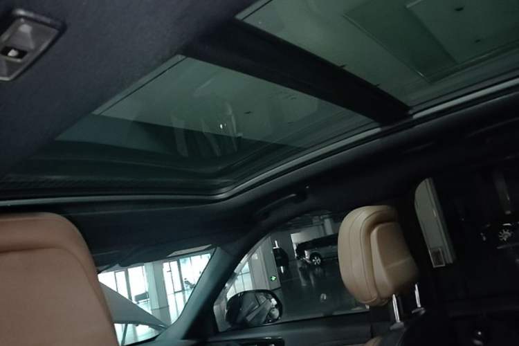 Used Lincoln Aviator 2020 3.0T V6 Four-Wheel Drive Zunya Edition Headliner
