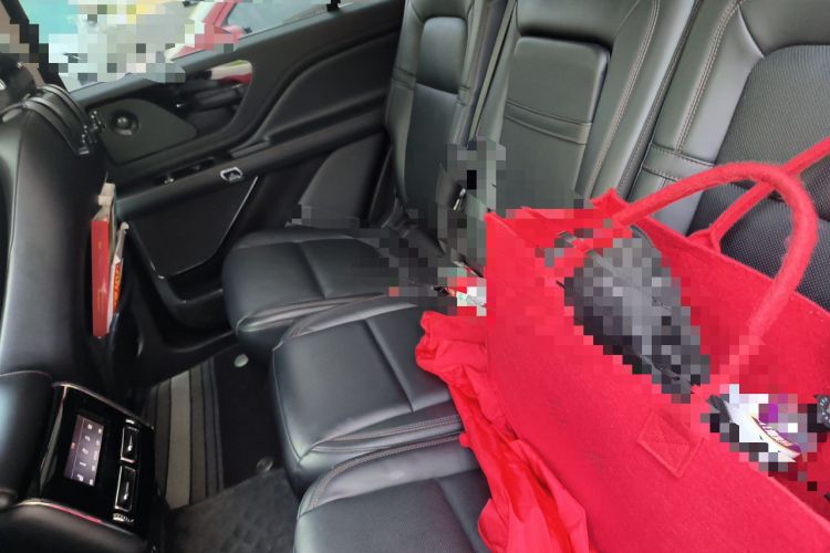 Used Lincoln Aviator 2020 3.0T V6 Four-Wheel Drive Zunya Edition Left Rear Seat