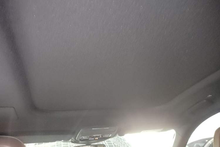 Used Lincoln Aviator 2020 3.0T V6 All-Wheel Drive Executive Version Headliner
