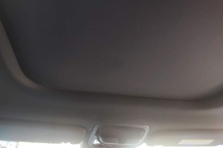 Used Lincoln Aviator 2020 3.0T V6 Four-Wheel Drive Zunya Edition Headliner