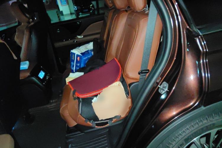 Used Lincoln Aviator 2020 3.0T V6 All-Wheel-Drive Luxury Edition Left Rear Seat