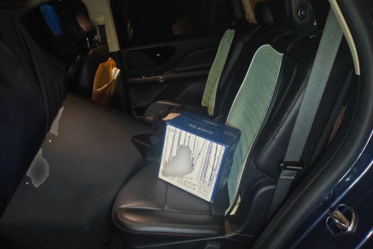 Used Lincoln Aviator 2021 3.0T V6 Four-Wheel Drive Luxury Edition Left Rear Seat
