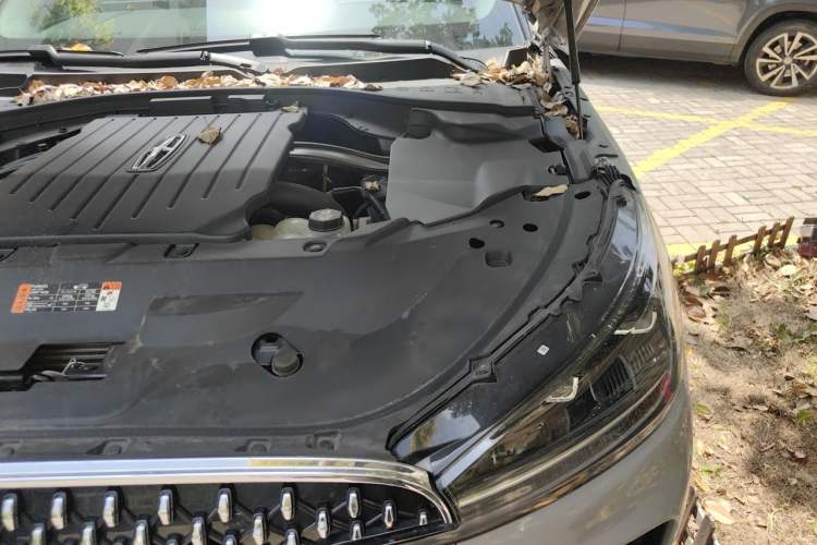 Used Lincoln Aviator 2023 3.0T V6 All-Wheel-Drive Zunya Cruise Version Six Seats Engine Bay Left
