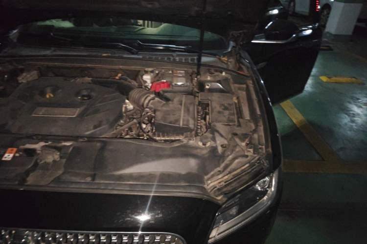 Used Lincoln Continental 2019 2.0T Two-Wheel Drive Luxury Edition China V Standard Engine Bay Left