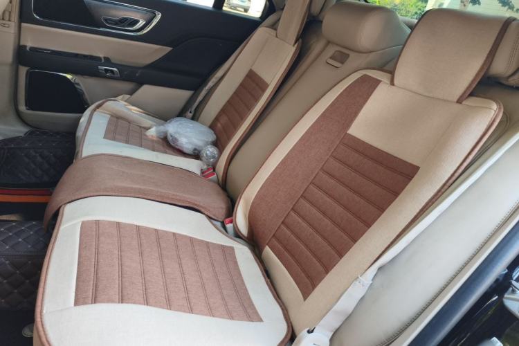 Used Lincoln Continental 2019 2.0T Two-Wheel Drive Luxury Edition China VI Standard Left Rear Seat