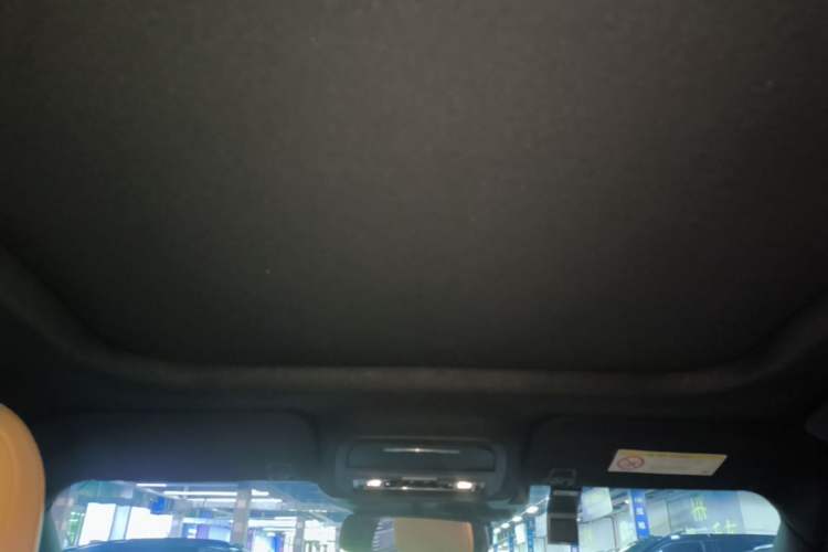 Used Lincoln Corsair 2020 2.0T Two-Wheel Drive Luxury Edition Headliner