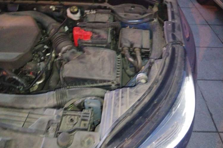 Used Lincoln Corsair 2020 2.0T Two-Wheel Drive Luxury Edition Engine Bay Left