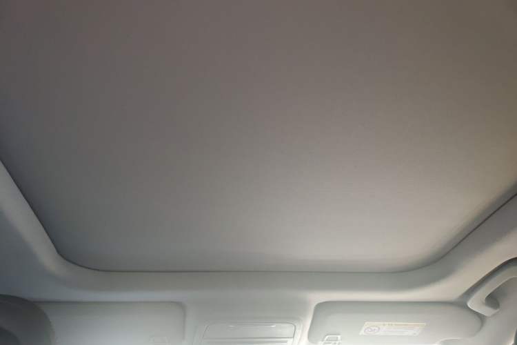 Used Lincoln Corsair 2020 2.0T Two-Wheel Drive Luxury Edition Headliner