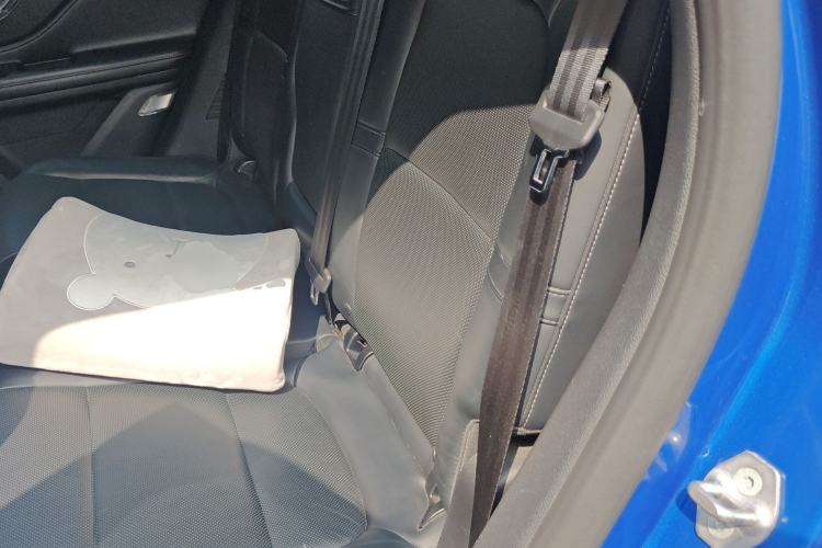 Used Lincoln Corsair 2020 2.0T Four-Wheel Drive Prestige Edition Left Rear Seat