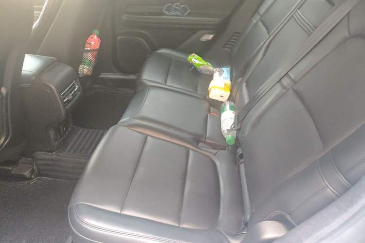 Used Lincoln Corsair 2020 2.0T Two-Wheel Drive Luxury Edition Left Rear Seat