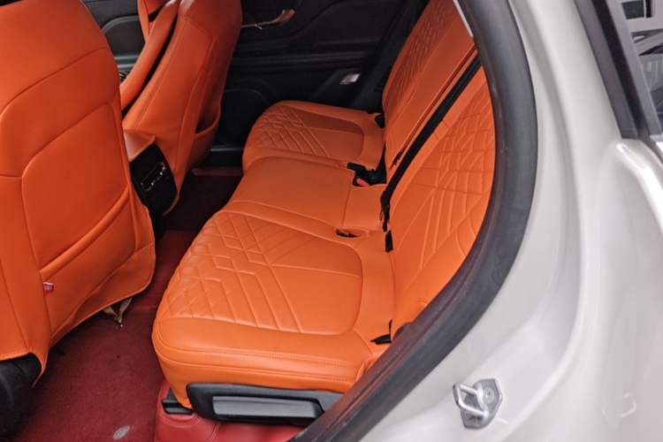 Used Lincoln Corsair 2020 2.0T Two-Wheel Drive Luxury Edition Left Rear Seat