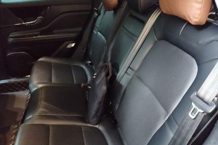 Used Lincoln Corsair 2020 2.0T Two-Wheel Drive Luxury Edition Left Rear Seat