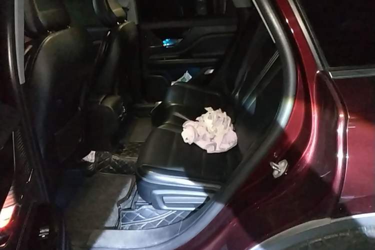 Used Lincoln Corsair 2020 2.0T Two-Wheel Drive Luxury Edition Left Rear Seat