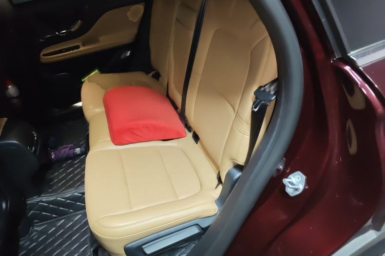 Used Lincoln Corsair 2020 2.0T Four-Wheel Drive Luxury Edition Left Rear Seat