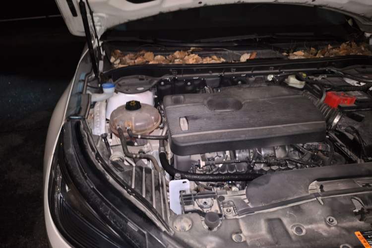 Used Lincoln Corsair 2020 2.0T Two-Wheel Drive Luxury Edition Engine Bay Right