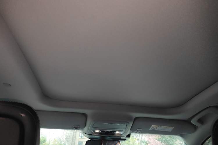 Used Lincoln Corsair 2020 2.0T Two-Wheel Drive Luxury Edition Headliner
