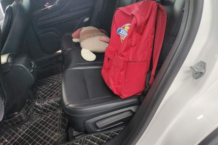 Used Lincoln Corsair 2020 2.0T Two-Wheel Drive Luxury Edition Left Rear Seat