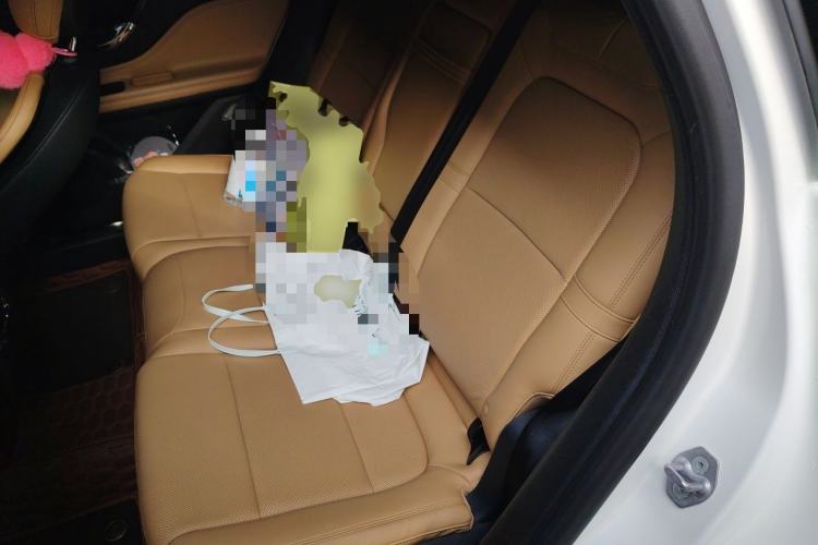 Used Lincoln Corsair 2020 2.0T Two-Wheel Drive Luxury Edition Left Rear Seat